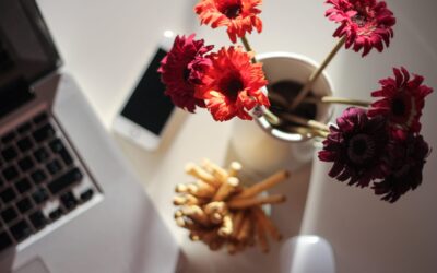 Créer un mois de publication sur Instagram : mon organisation