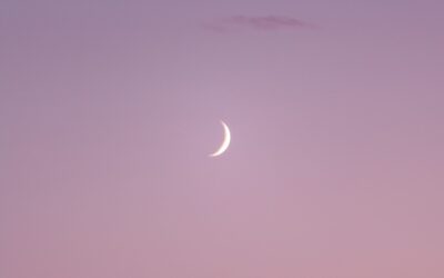 L&rsquo;entrepreneuriat : une décision de vie